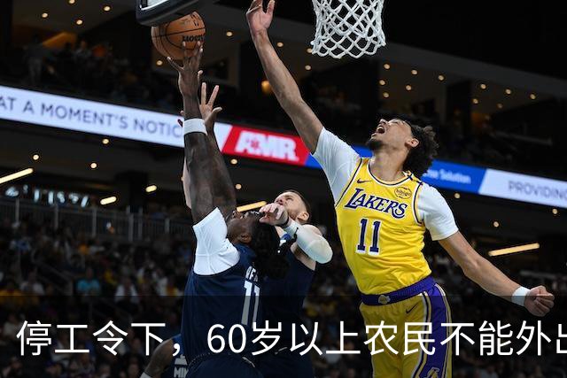 停工令下，60岁以上农民不能外出打工了？是否属实？农民提前打算