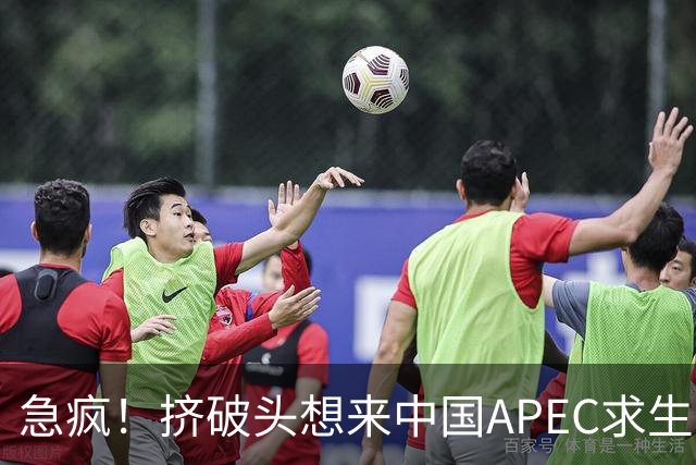 急疯！挤破头想来中国APEC求生，因国内清算打响，高市或锒铛入狱