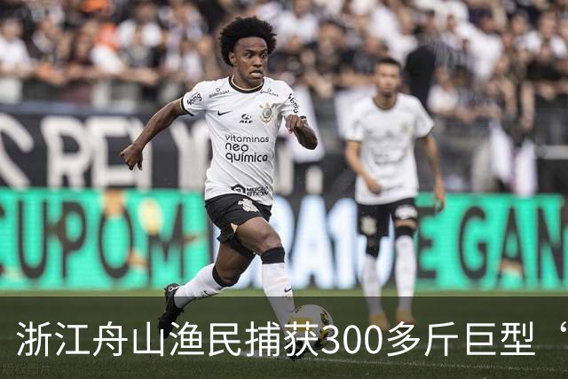 浙江舟山渔民捕获300多斤巨型“怪鱼”，已放归大海，经辨认系翻车鱼，是已知世界上生殖力最强的脊椎动物；网友：以为是一块大石头