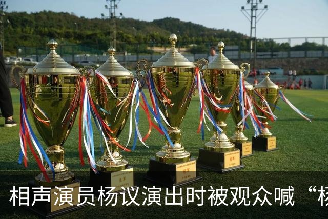 相声演员杨议演出时被观众喊“杨老五”后怒怼并骂人，相声馆知情人称喊“杨老五”在当地跟骂人差不多，文旅局：正在核查