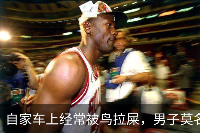 自家车上经常被鸟拉屎，男子莫名确诊肺炎，医生：不是个例，已有数例此类患者