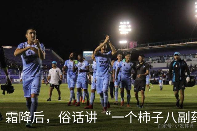 霜降后，俗话讲“一个柿子八副药”，吃柿子有啥好处？什么人不适合吃？