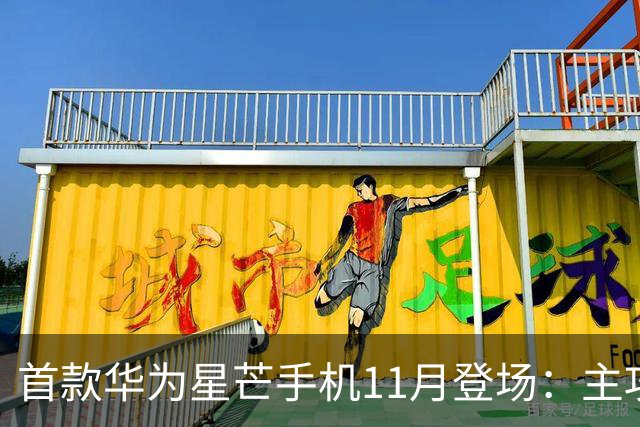 首款华为星芒手机11月登场：主攻性价比 压力给到友商