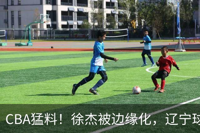 CBA猛料！徐杰被边缘化，辽宁球员官宣出国打球，余嘉豪心态爆炸