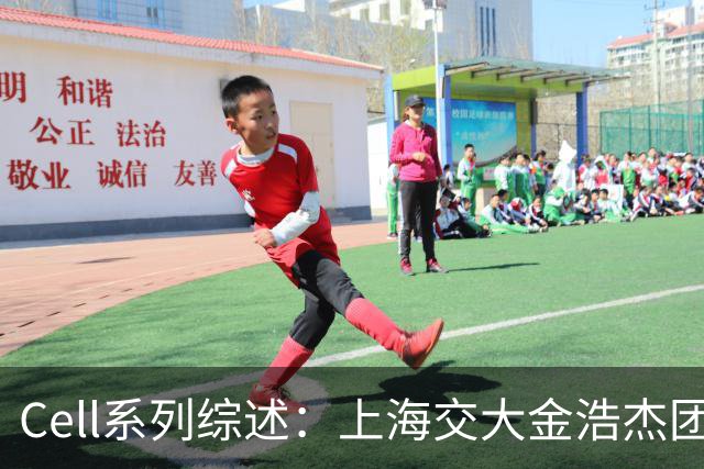 Cell系列综述：上海交大金浩杰团队等论述肿瘤免疫治疗精准毒性控制策略