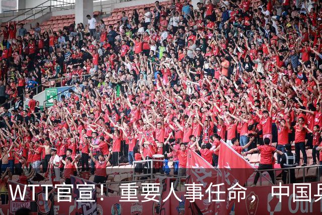 WTT官宣！重要人事任命，中国乒乓美女被提拔，上任总监岗位